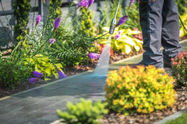 Best Patio and Deck Pressure Washing  in Bentleyville, PA